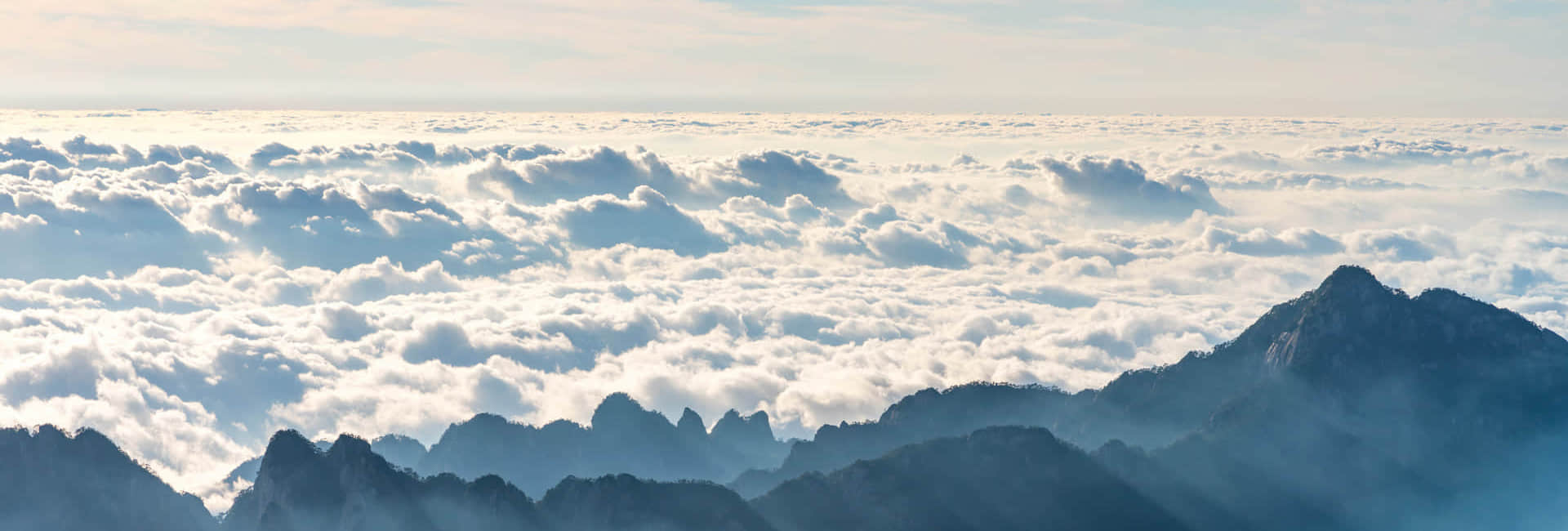 欧宝(中国)简介